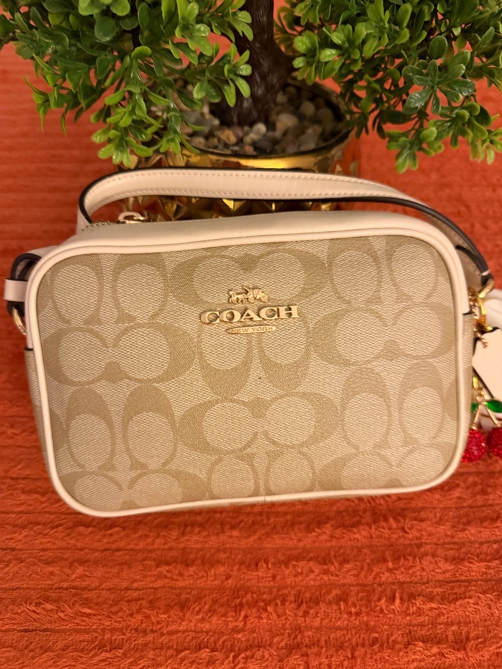 Coach Signature Monogram Crossbody Bag in Beige - Picture 13 of 16